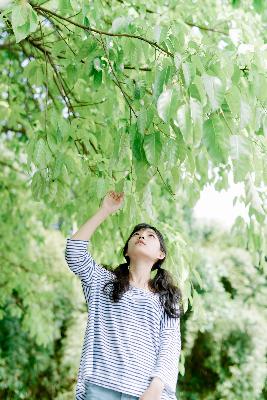 天才基本法电视剧免费观看
